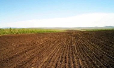 Dövlət torpaq kadastrının aparılması qaydaları dəyişdi