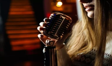 Məşhur müğənninin çıxış etdiyi məkana silahlı hücum - FOTO