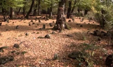 Vəndam qəbristanlığından QƏRİBƏ OĞURLUQ - VİDEO - FOTO