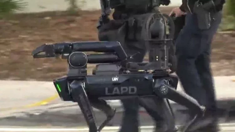 Tarixdə bir ilk: Cinayətkarı robot it tutdu