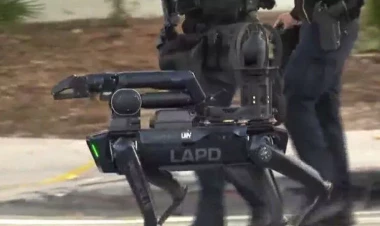 Tarixdə bir ilk: Cinayətkarı robot it tutdu