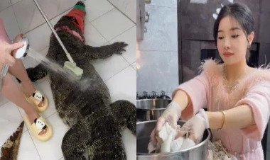 Blogger timsah bişirməklə qalmaqala düşdü - FOTOlar