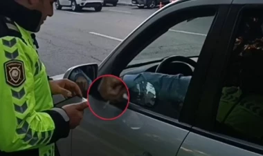 DYP-nin reydində əlavə neqativ hallar aşkarlandı: Sürücü siqareti yerə atdı