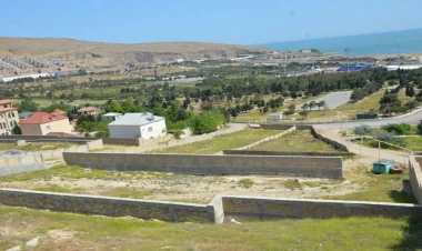 Bakıda eyni torpaq sahəsi bir neçə nəfərə SATDILAR - VİDEO