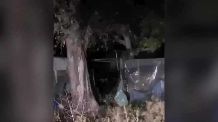 Bağında gördükləri qarşısında mat qaldı - ev sahibinin qorxu dolu anları - VİDEO