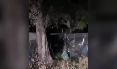 Bağında gördükləri qarşısında mat qaldı - ev sahibinin qorxu dolu anları - VİDEO