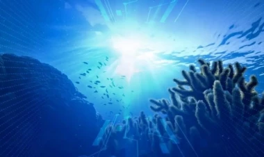 Dünya okeanında istiləşmə güman edildiyindən daha sürətlə gedir