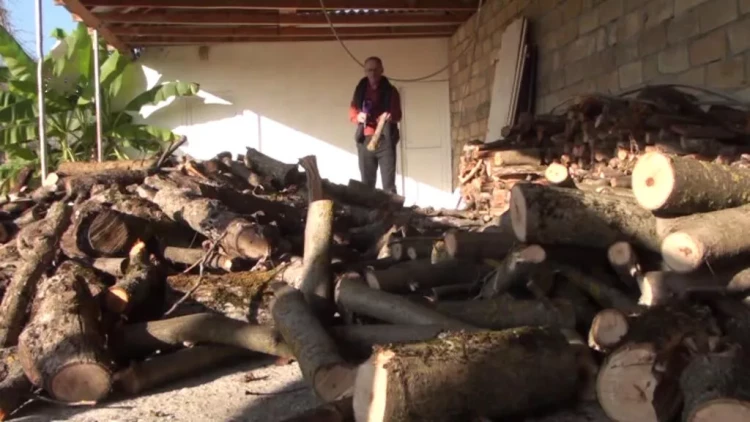 Bu kənddə meyvə ağacları odun kimi istifadə edilir - VİDEO - FOTO