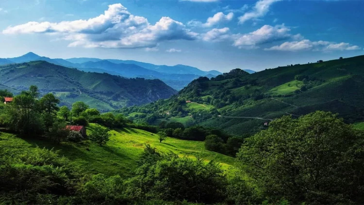 Lerik rayonu ilə bağlı qərarda dəyişiklik - Gələn ildən...