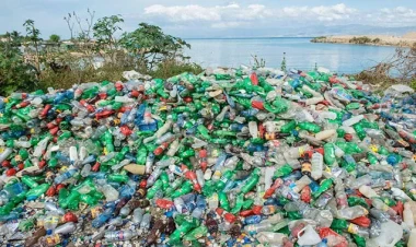 Plastik tullantılar bakteriyalar vasitəsilə qida əlavəsinə çevriləcək