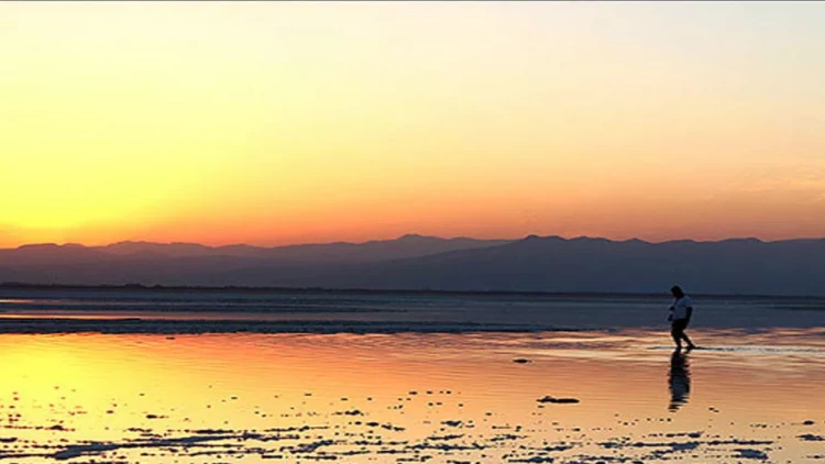 Azərbaycanlılar qorxu içindədir: dəri xəstəliyi… - Günəş