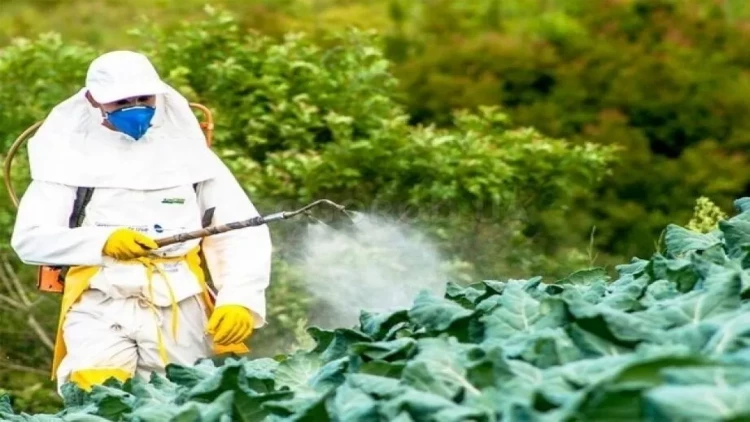 Xərçəngdən uşaq ölümlərinin sayı niyə artır? - Alimlər səbəbini açıqladı