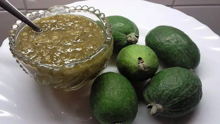 Braziliyadan Azərbaycana ayaq açan MÜALİCƏVİ MEYVƏ