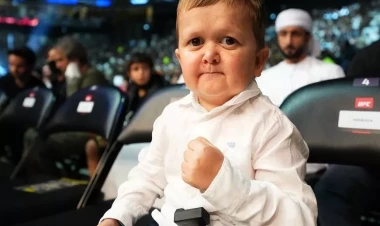 Prokurorlar məşhur blogeri araşdıracaq - Antisemitizm çağırışları edib