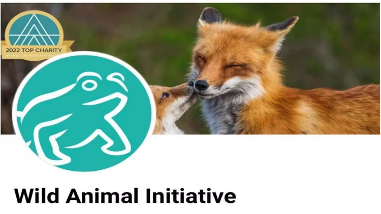 “Minalardan zərər görən heyvanlara yardım niyyəti təqdirəlayiqdir” - FOTO