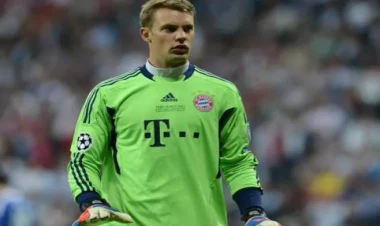 Noyer 11 aydan sonra meydana çıxdı