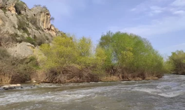 BMT komitəsi Ermənistanın mədən sənayesinin su hövzələrini çirkləndirdiyini bəyan edib