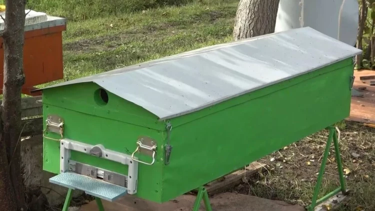 Tabutun içindən çıxanlar hər kəsi şoka saldı - FOTO