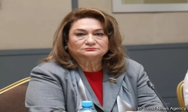 Hələ də ölkədə təhsildən yayınan uşaqlar var – Komitə sədri