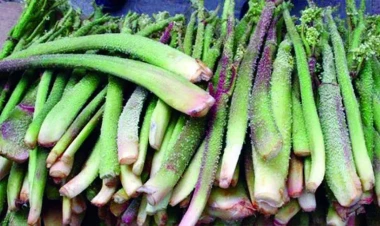 Xoş ətirli, dağ bitkisi - Min bir xeyri haqqında faktlar