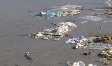 Bakıda bu gölün antisanitar vəziyyəti sakinləri bezdirib - VİDEO