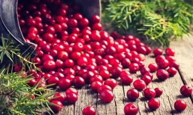 Həzm sistemi üçün ən faydalı qidalar