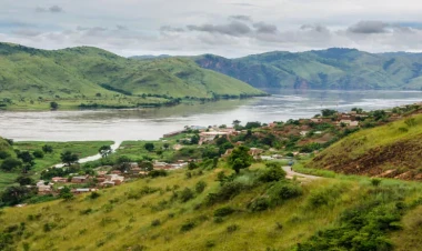 Dünyada ən qara çay tapıldı