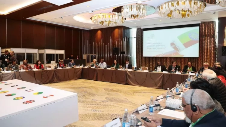 Bakıdan Fransaya layiqli cavab - FOTO