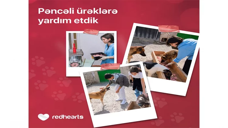 Qırmızı Ürəklər könüllüləri heyvan sığınacağına yardım etdi