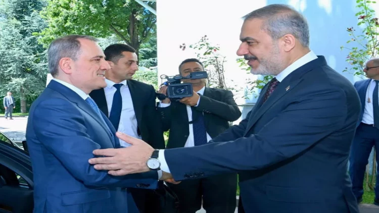 Ceyhun Bayramov Ciddəyə niyə getdi? - Səfərin detalları