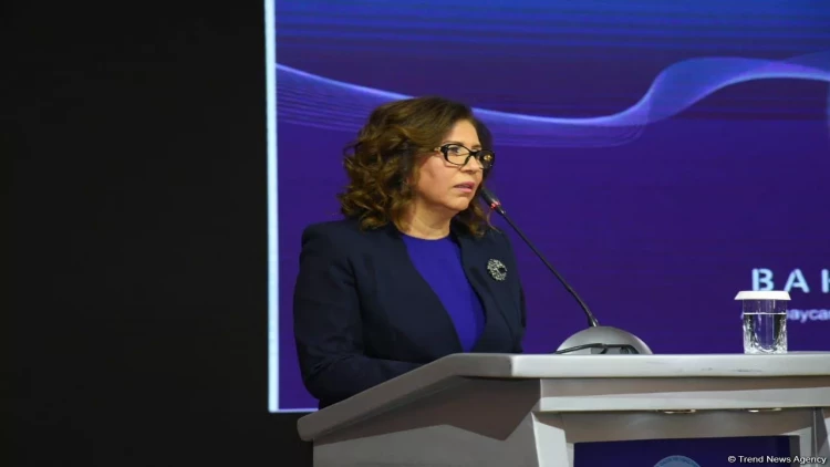 140 qadın sahibkara 9,9 milyon manat güzəştli kredit verilib - Komitə sədri