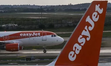 Pilotu ağcaqanad dişlədi - Uçuş 5 saat gecikdi