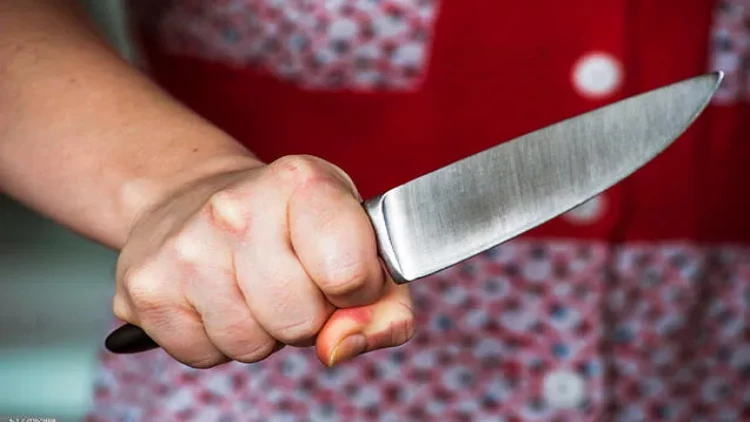 Qəbələdə qadın ana və 17 yaşlı qızını bıçaqladı