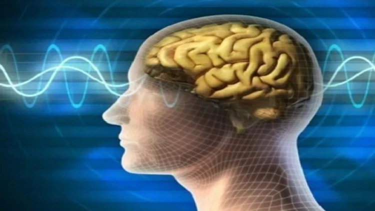 Səhər yeməyindən imtina beyin və əsəbləri müalicə edir - Neyrocərrah