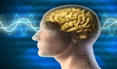 Səhər yeməyindən imtina beyin və əsəbləri müalicə edir - Neyrocərrah