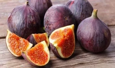 Uzunömürlülük meyvəsinin faydaları