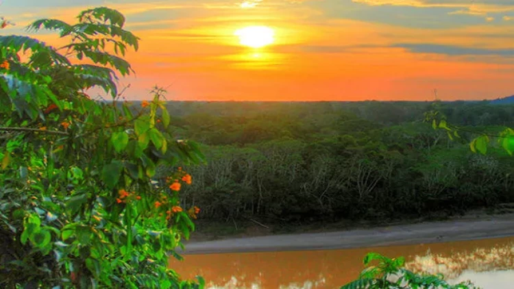Meşədə itmiş qədim yaşayış məskəni tapıldı