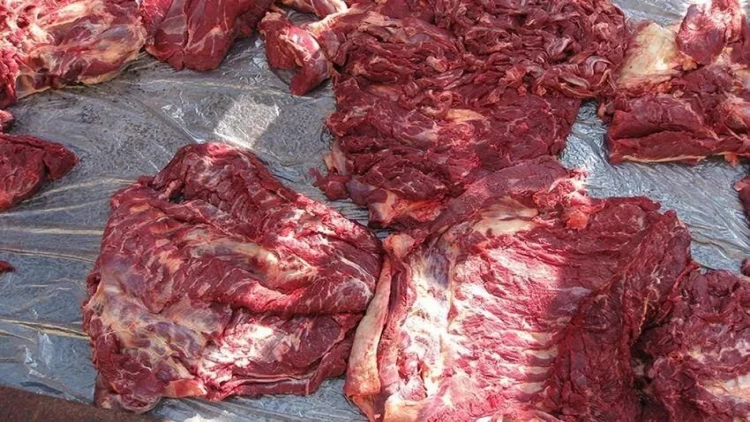 150 kq at ətini satmaq istədi - FOTO