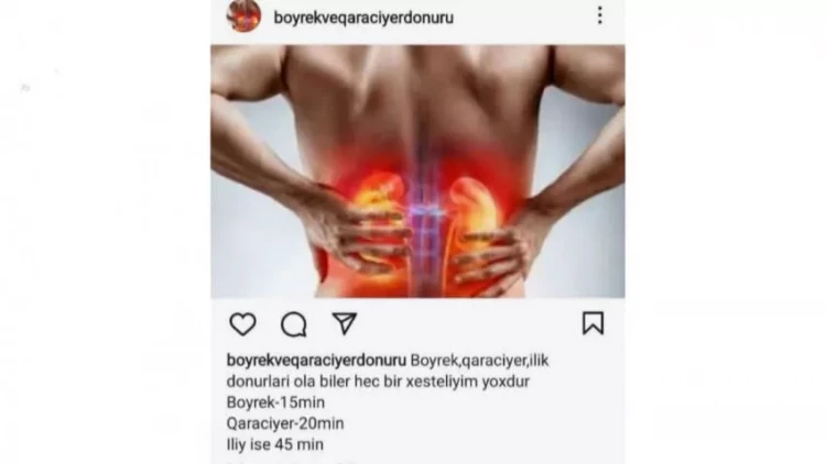 Orqan satışı ilə bağlı elanlar çoxalıb - VİDEO