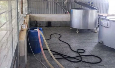 Bu şəraitdə süd istehsal edirmişlər - FOTOlar