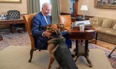 Baydenin iti Ağ Evdən çıxarıldı