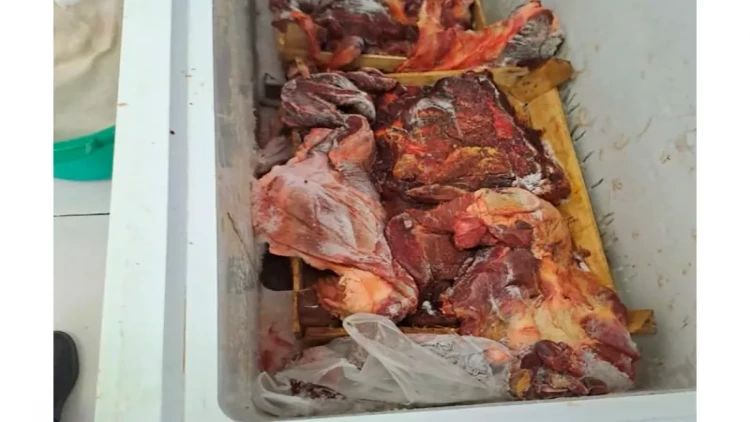 Bakıda bu mağazada mal adı ilə at əti satıblar - FOTO