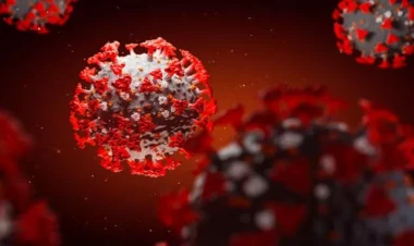 Ermənistanda koronavirusa yoluxma kəskin artdı