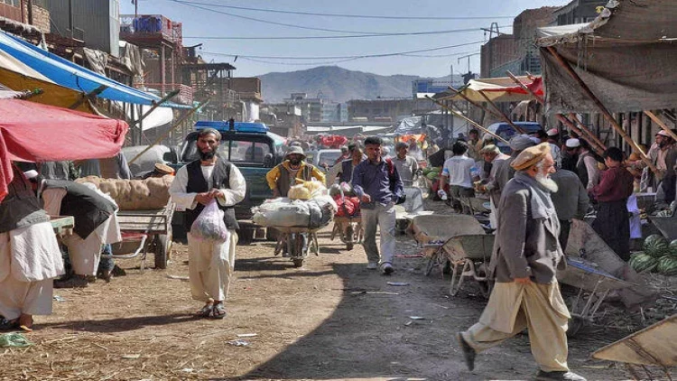 Terror hücumlarının 90 faizini onlar edir