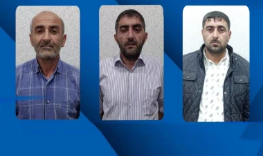 Lənkəranda mal-qara oğruları saxlanıldı