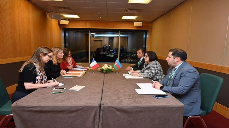 Azərbaycan öz ərazisində qanunsuz hərbi mövcudluğu qəbul edə bilməz - Sahibə Qafarova - FOTO