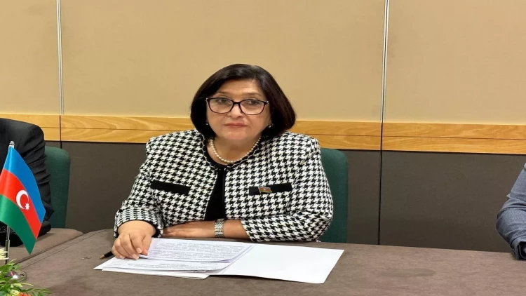 Sahibə Qafarova: Qəbul etdiyiniz qətnamələr beynəlxalq hüququn prinsiplərinə ziddir - FOTO