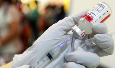 Azərbaycanda hər il neçə nəfər quduzluqla üz-üzə qalır?