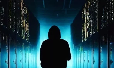 Kiberdələduzluqla qarşılaşdıqda nə etməlisiniz? - VİDEO