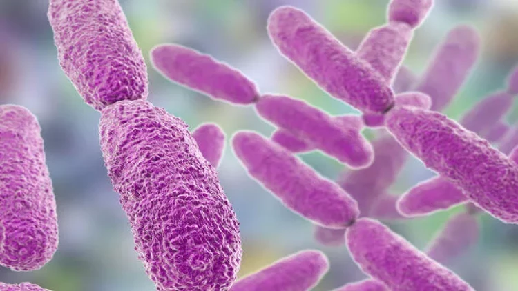 Bu, zədələnmiş hüceyrələrİ bərpa edir